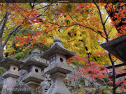 Fotopedia Japan: la magia del Giappone in una app gratuita per iPhone e iPad