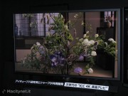 Ceatec 2011: da Sharp la TV del futuro, super leggera e con risoluzione 4 volte quella HD