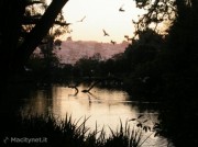 Un Caffè a Cupertino