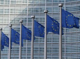 L’UE indaga su Google per i contenuti online sfruttati per alimentare AI La Commissione Europea indaga su accordi tra Apple e operatori di telefonia
