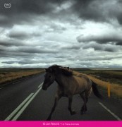 Ippawards, premiati i migliori scatti con iPhone