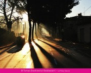 Ippawards, premiati i migliori scatti con iPhone