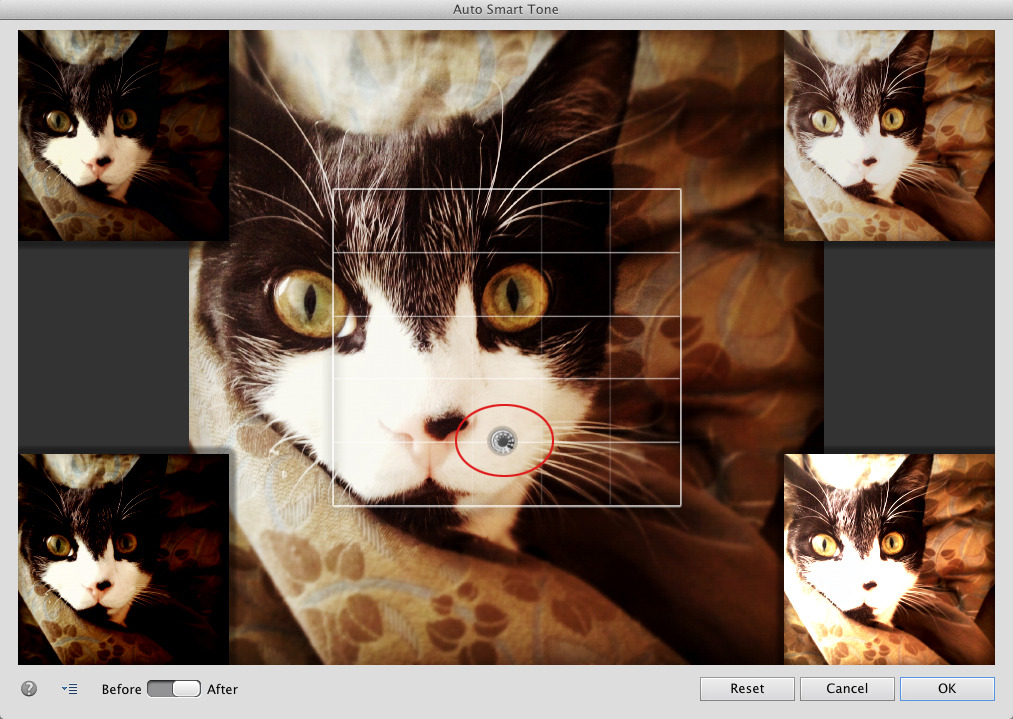 Adobe Photoshop Elements 12