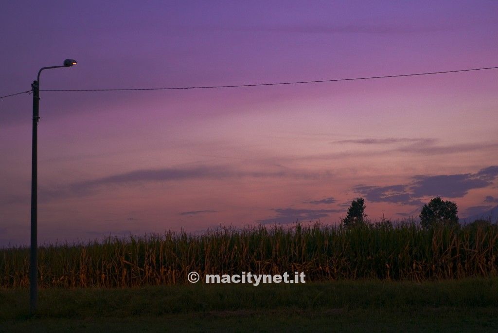 Leica M Typ 240-00o-1