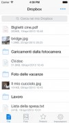 dropbox 3 per iOS 2