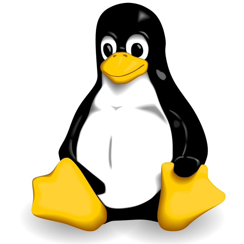 linux logo icon 800