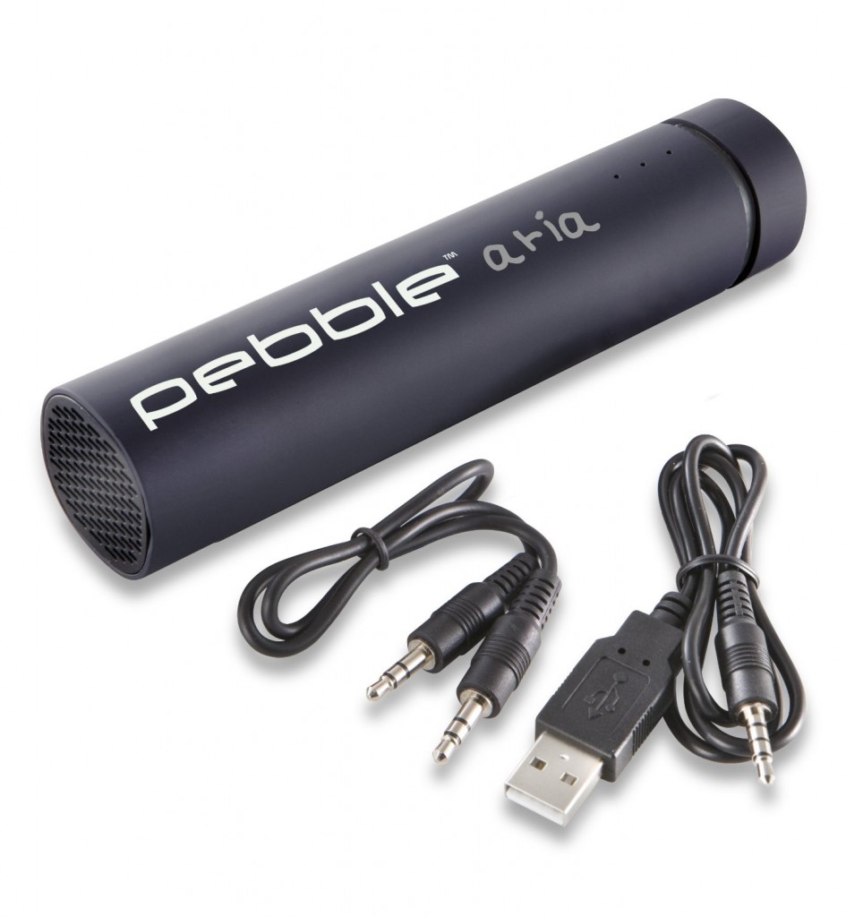 Recensione di Pebble Aria 2 in 1 1 11