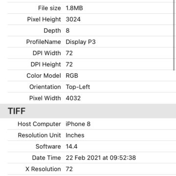 Foto iPhone: come visualizzare e cancellare i dati di geolocalizzazione