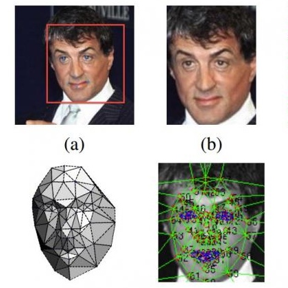 riconoscimento facciale - facebook icon 420