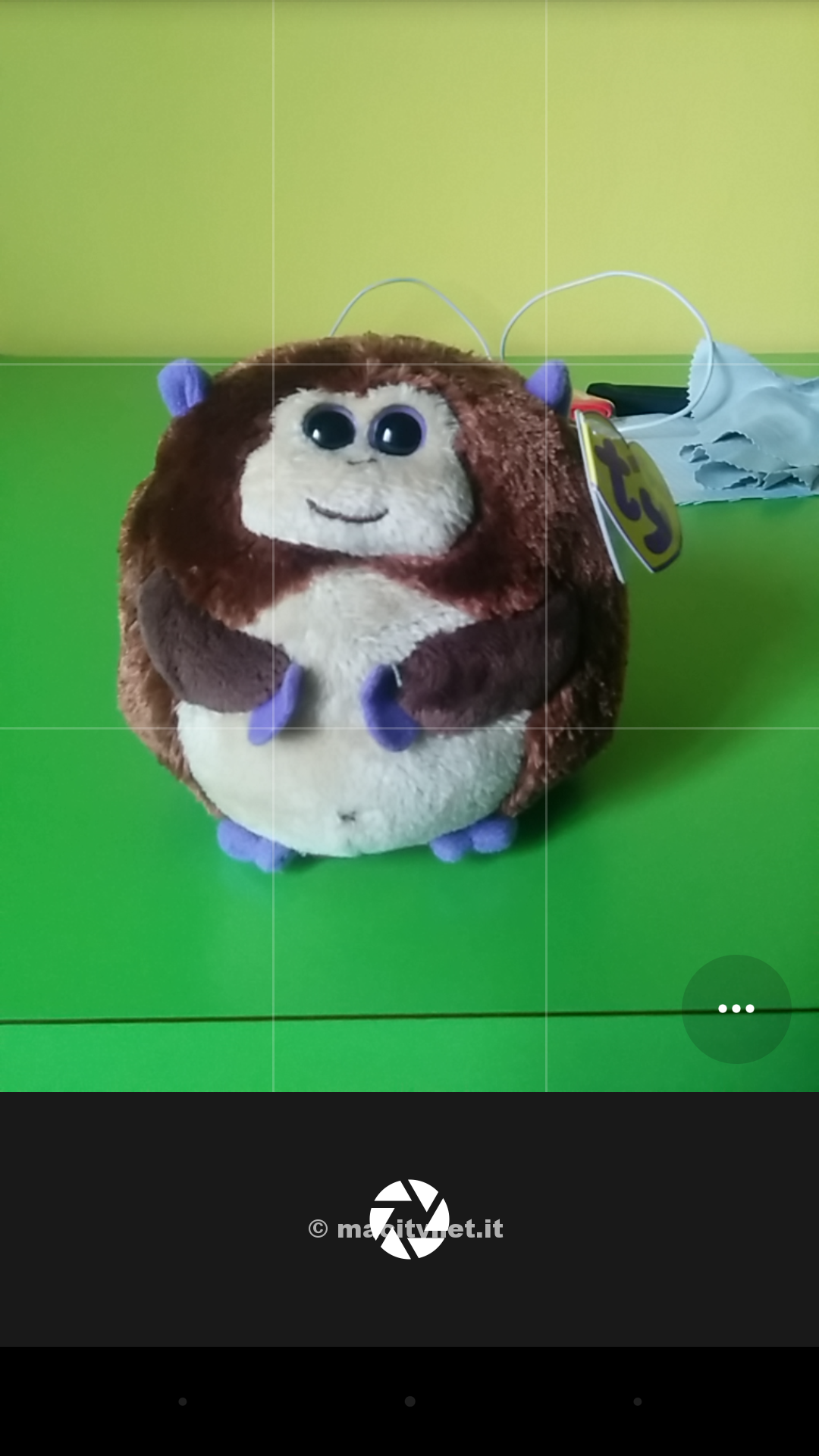 L'essenziale interfaccia di scatto