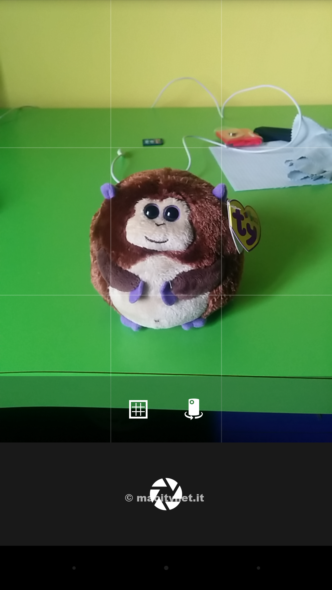 Uniche due opzioni disponibili sono la griglia di composizione per terzi e la possibilità di usare la fotocamera frontale