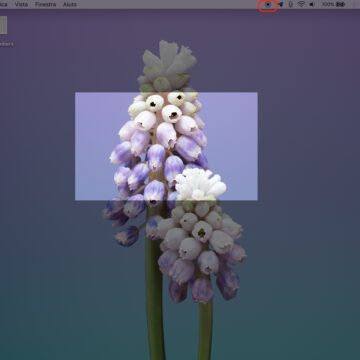 Come registrare lo schermo su Mac direttamente con QuickTime