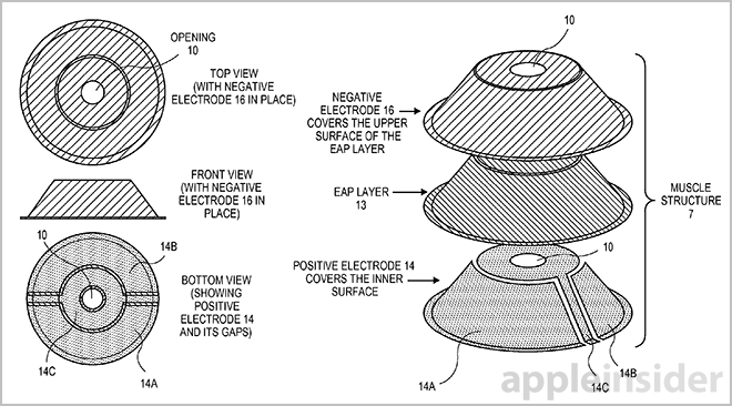 9636-1478-140619-Muscle-3-l