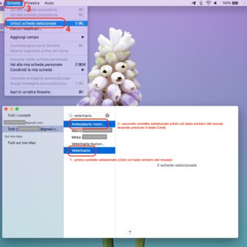Eliminare contatti doppi su iPhone (e Mac) senza alcun software