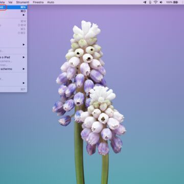 Come salvare l’immagine in HD delle icone delle app del Mac con Anteprima