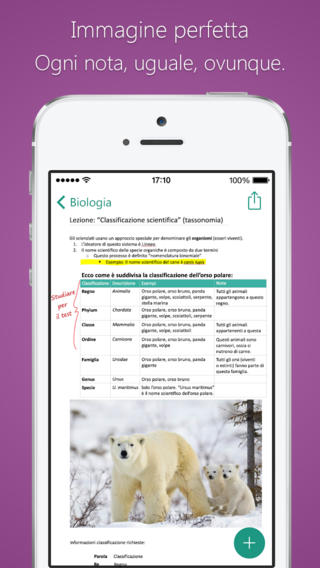 aggiornamento per OneNote