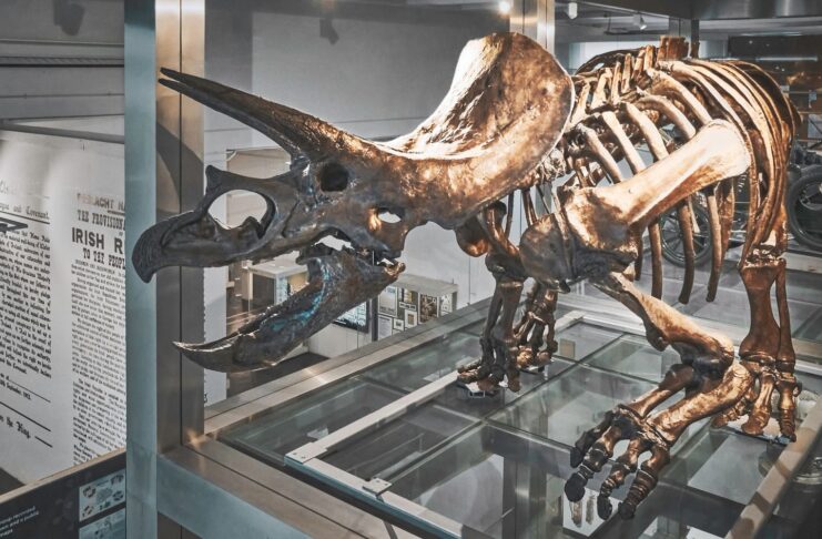 Steven Spielberg ha ucciso un triceratopo: animalisti infuriati su Facebook