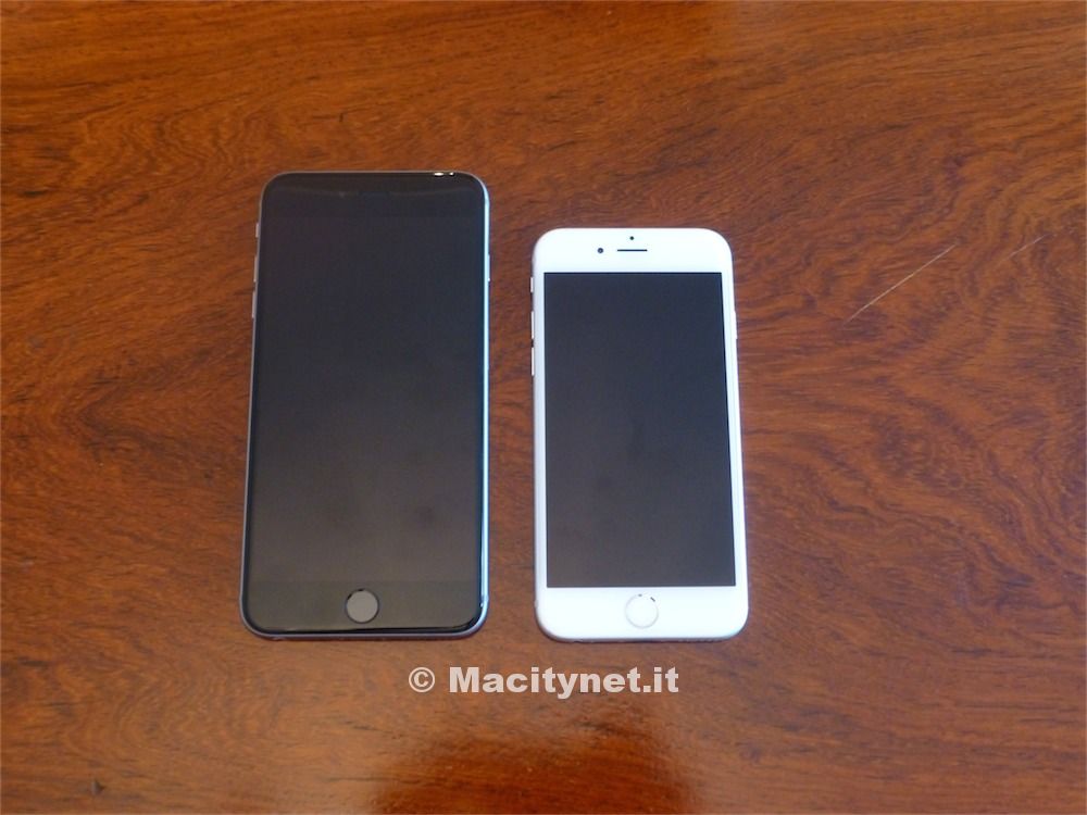 iPhone 6 e iPhone 6 Plus a confronto