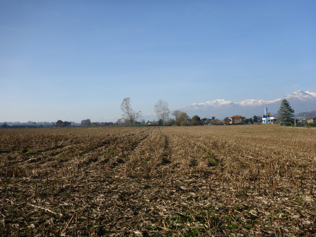 In condizione di luce ideale i risultati sono molto buoni