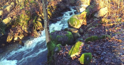 video 4K registrato con iPhone 6 1000