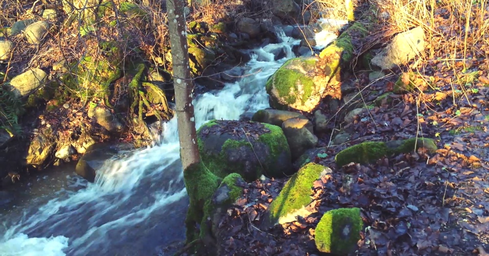 video 4K registrato con iPhone 6 1000