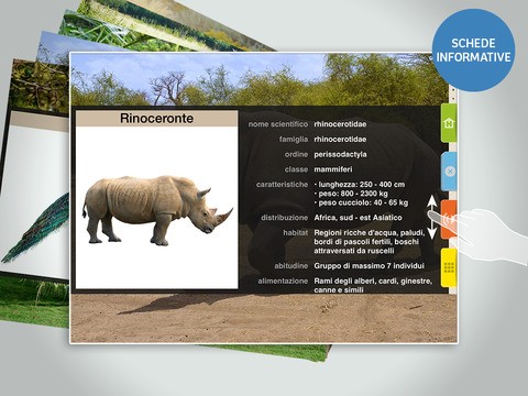 Animals 100 Animali reali 02