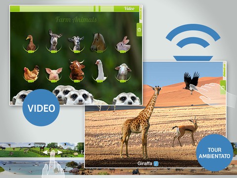 Animals 100 Animali reali 03