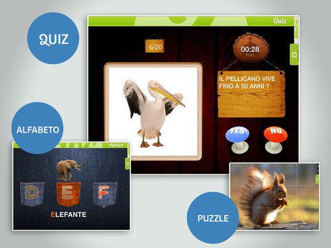 Animals 100 Animali reali 04