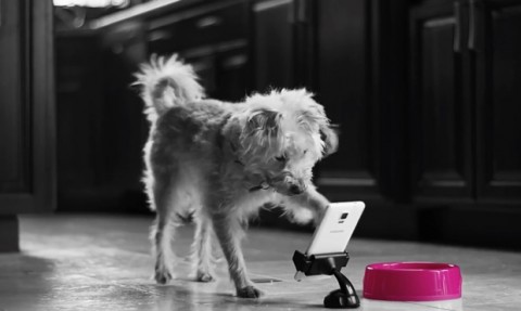 T-Mobile Pets Unleashed 620