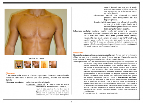 Schermata 2015-07-23 alle 23.51.41
