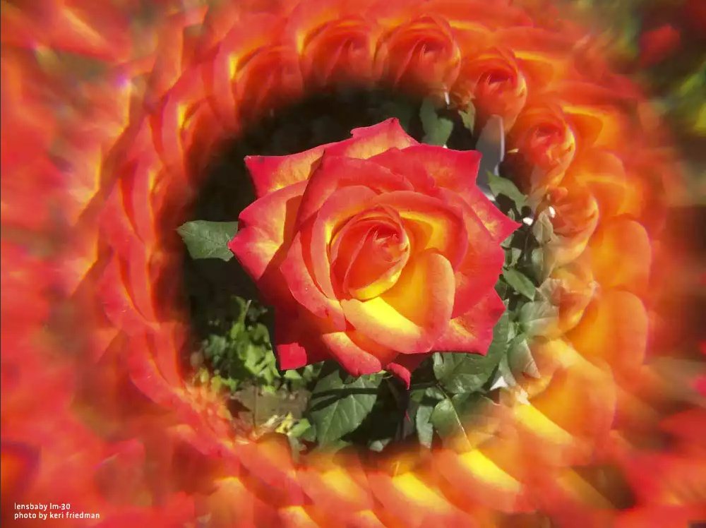 lensbaby immagine Lm30