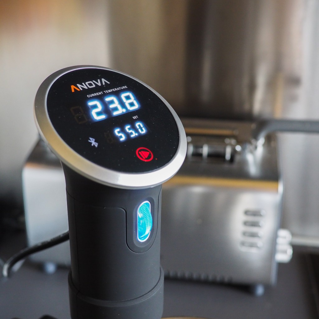 anova precision cooker display temperatura