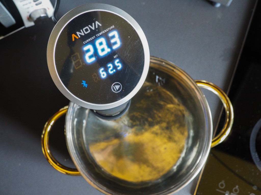 anova precision cooker in cottura