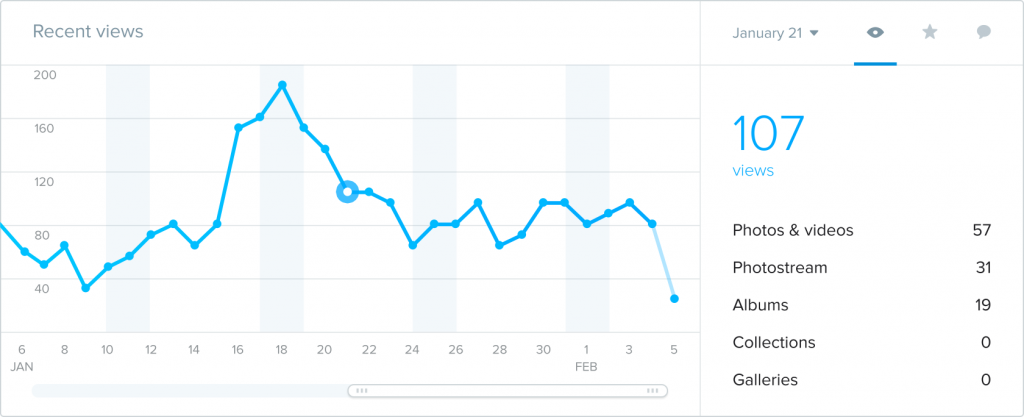 flikr pro statistiche