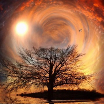 cielo surreale con albero in primo piano