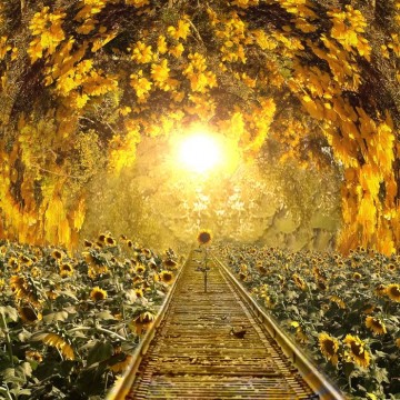 girasole sulla ferrovia