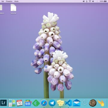 Come mostrare e nascondere il Dock del Mac senza ritardi