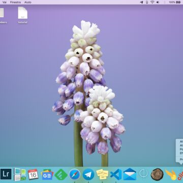 Come mostrare e nascondere il Dock del Mac senza ritardi
