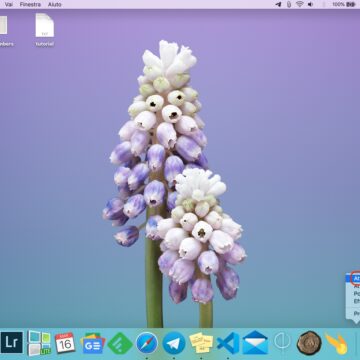 Come mostrare e nascondere il Dock del Mac senza ritardi