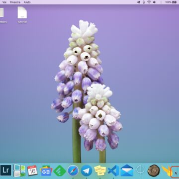 Come mostrare e nascondere il Dock del Mac senza ritardi