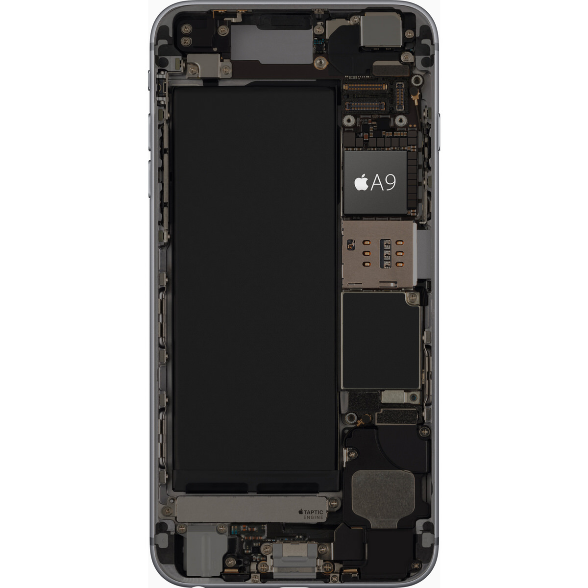 Xcode conferma: iPhone 6s ha 2 GB di RAM, iPad Pro 4 GB