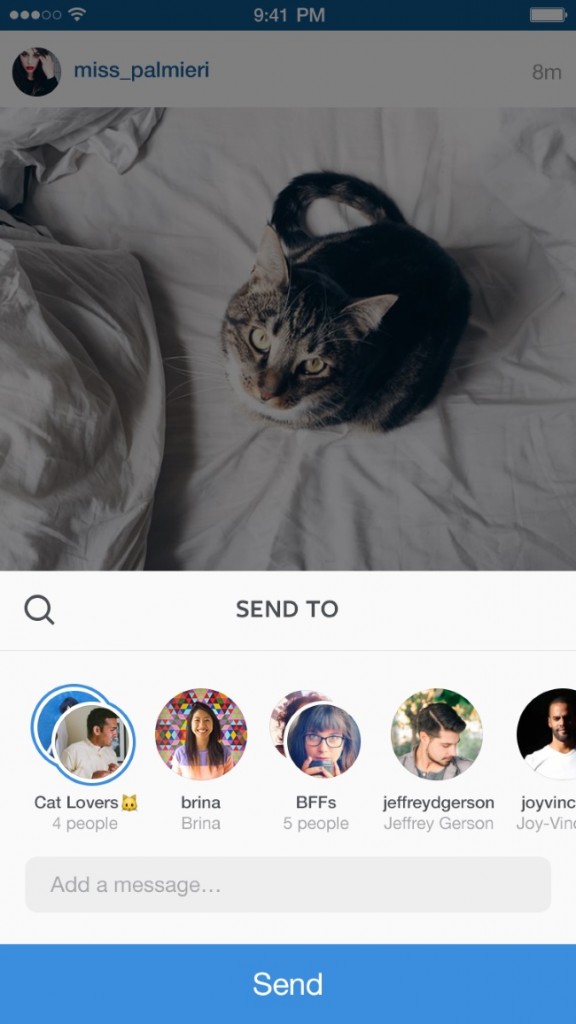 invio di un masseggio diretto con foto di un gatto via instagram direct