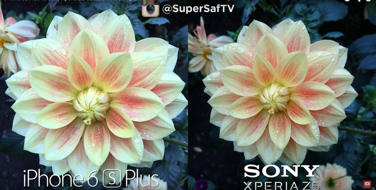 iPhone 6s Plus contro Sony Xperia Z5 1200 ok video fiori
