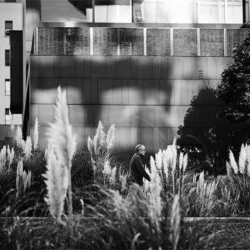 Sony α7R II Novelli 1