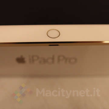 iPad pro vsiphone6IMG_0564
