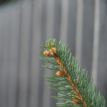 olympus m.zuiko 14-150mm