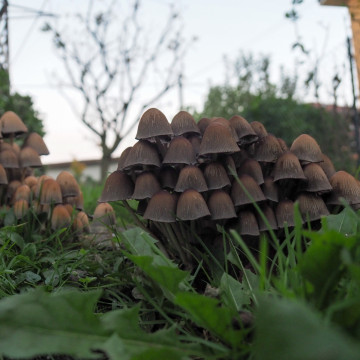 olympus m.zuiko 14-150mm