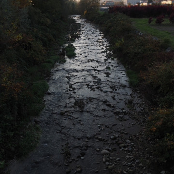 olympus m.zuiko 14-150mm