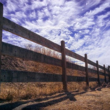 esempio immagine light l16