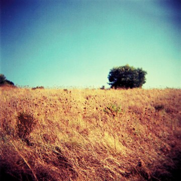 holga